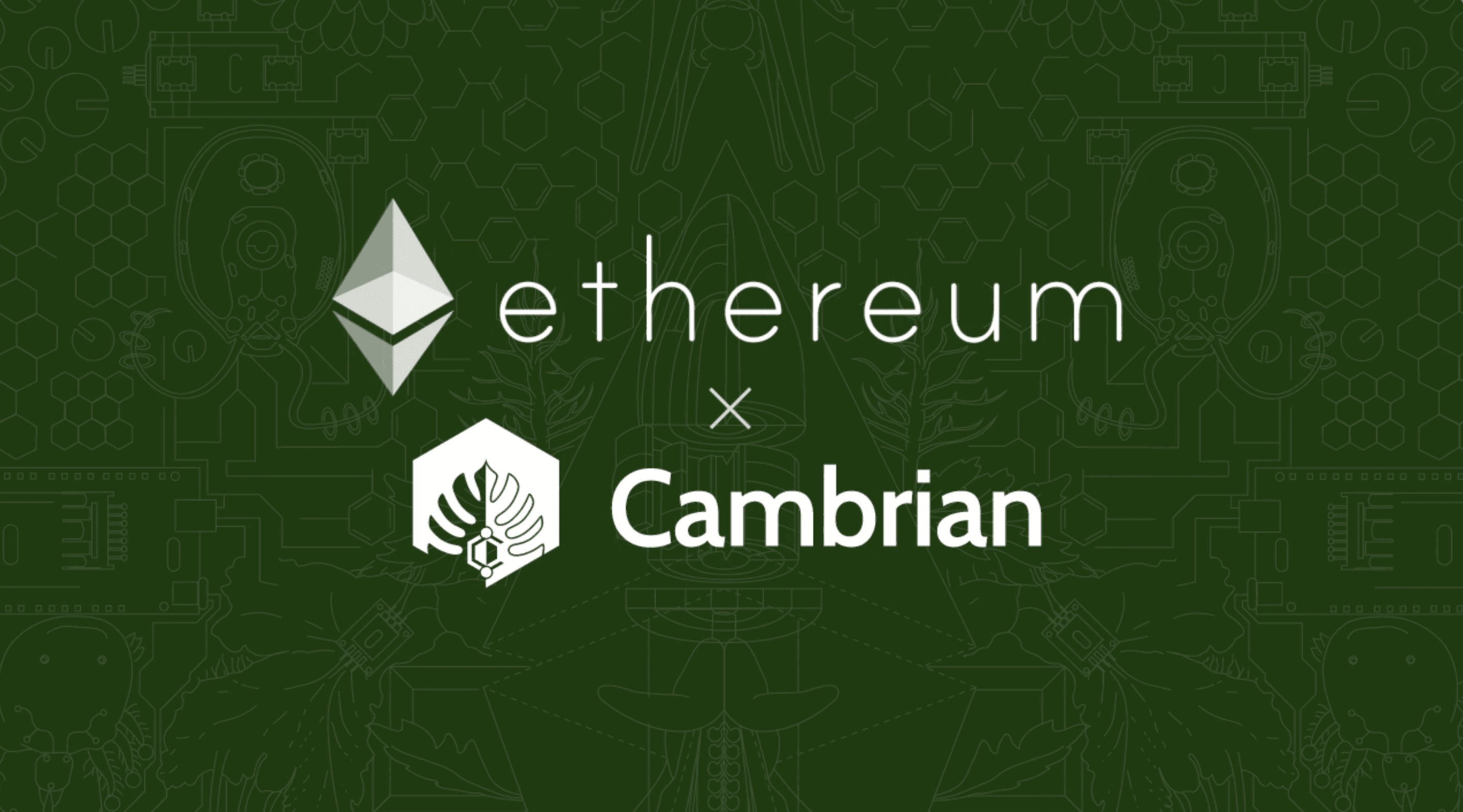 Featured image for Cambrian now supports Ethereum Mainnet
